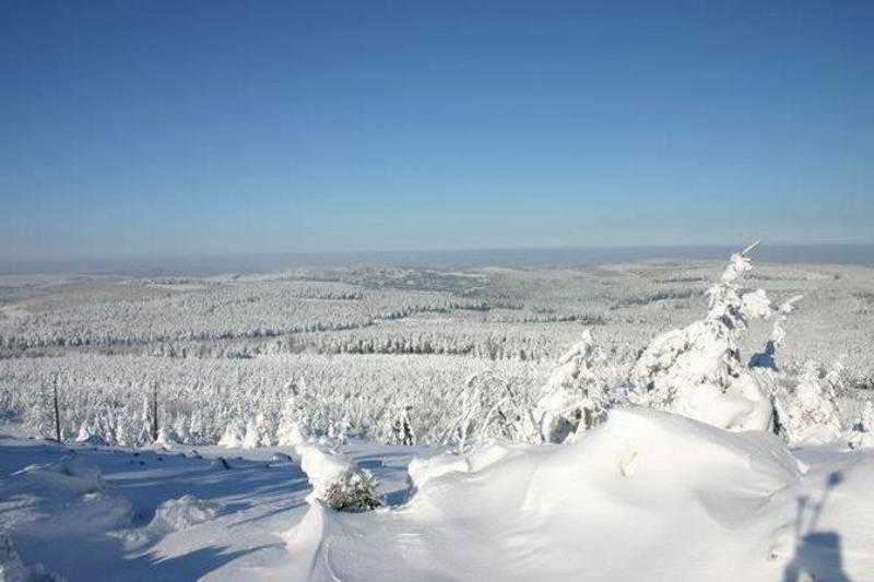 Ahorn Waldhotel Altenberg Bagian luar foto